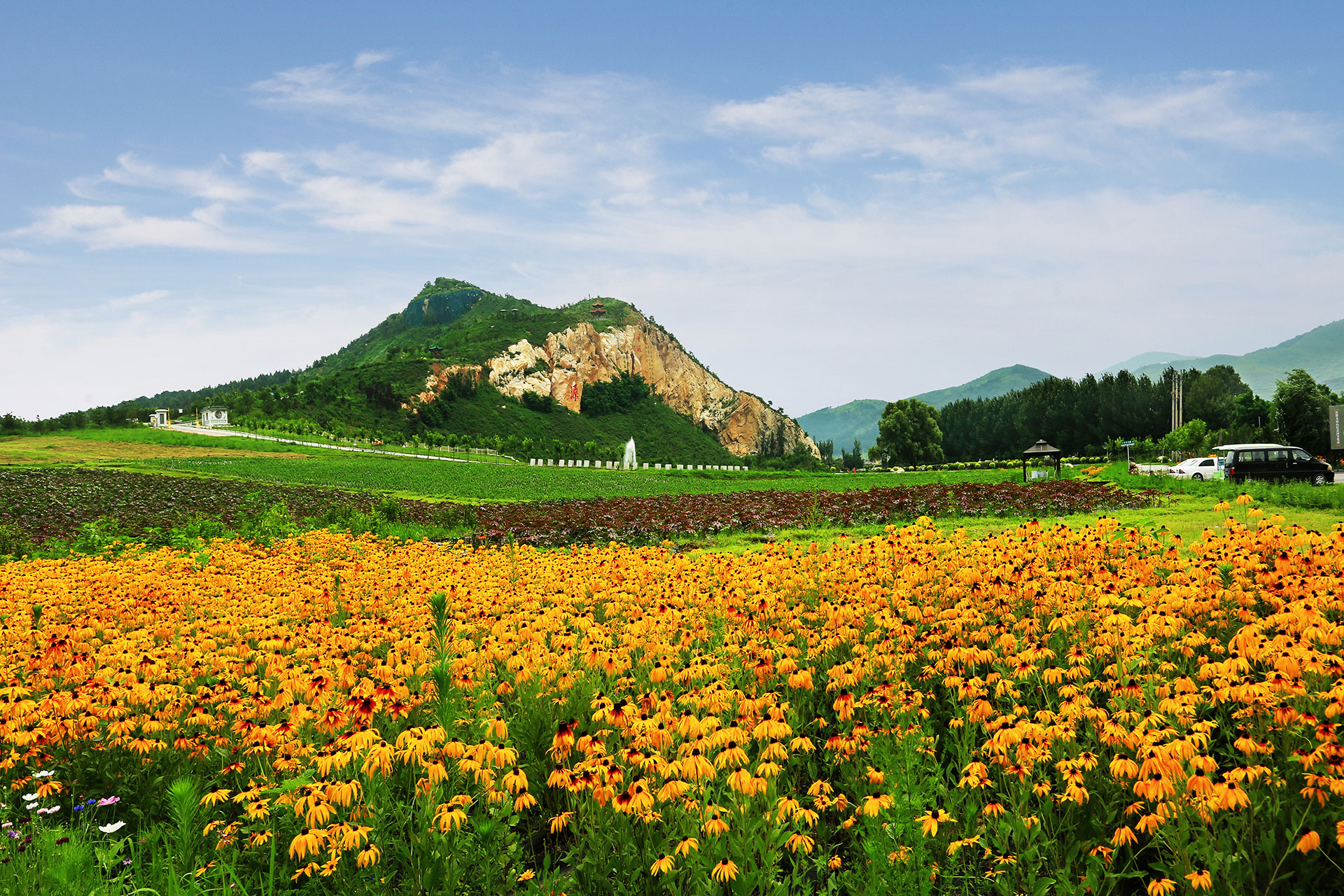 龙福山墓园